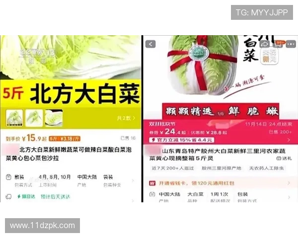 2025年最新白菜价格多少钱一斤？市场行情分析