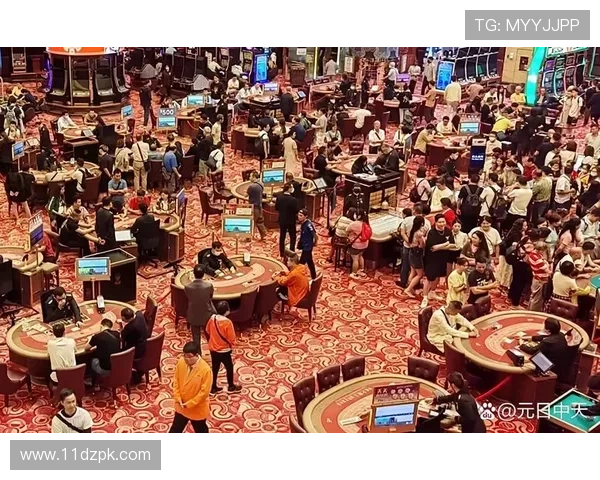 探索wy万赢官网：全方位了解在线娱乐平台的魅力